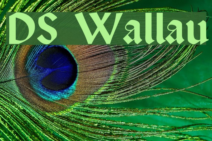 DS Wallau Font examples