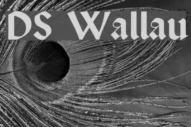 DS Wallau Example 1