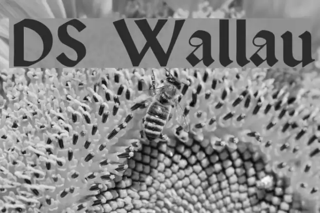 DS Wallau Example 2