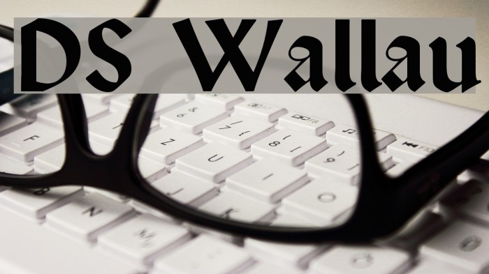 DS Wallau Font examples
