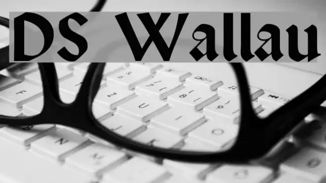 DS Wallau Example 3