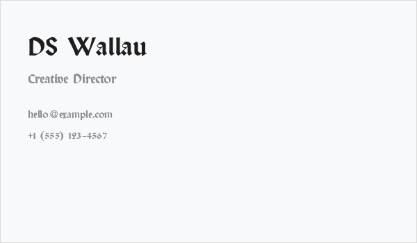 DS Wallau Business Card