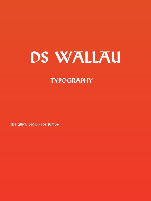 DS Wallau Poster