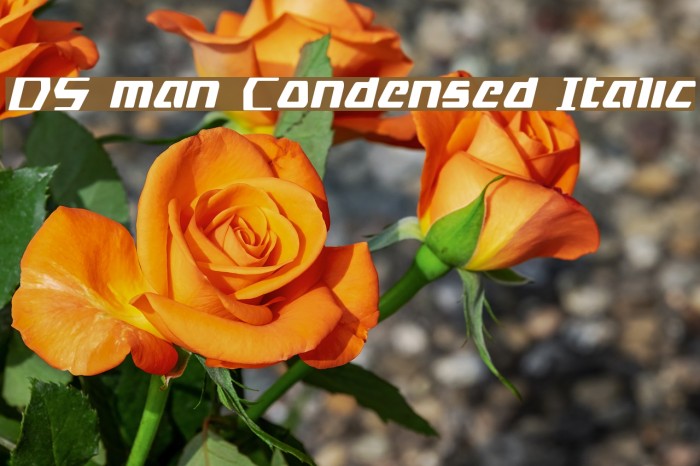 DS man Condensed Italic Example 3