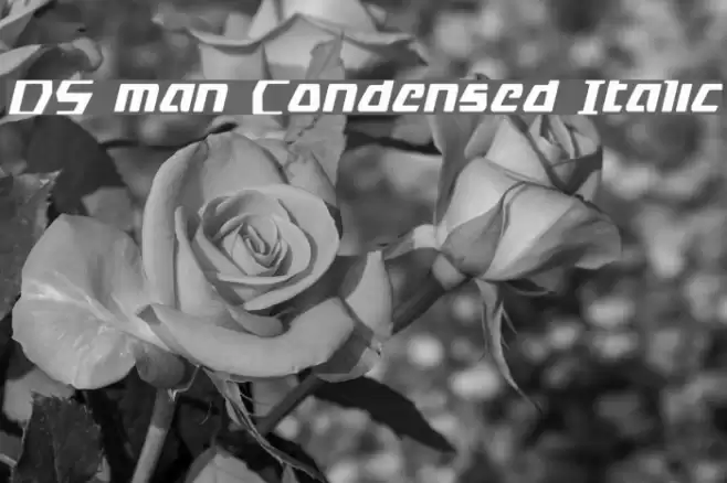 DS man Condensed Italic Font examples