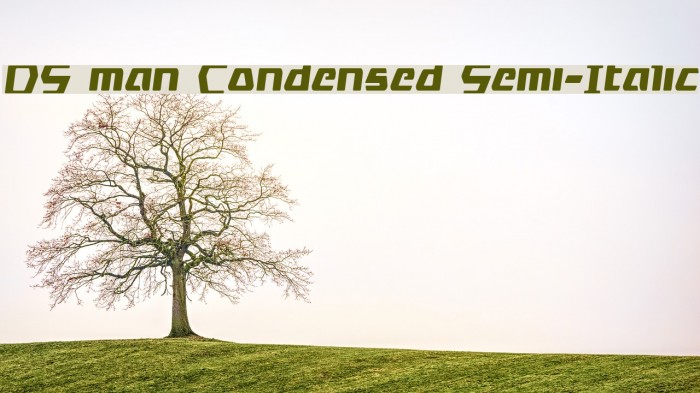DS man Condensed Semi-Italic Example 3