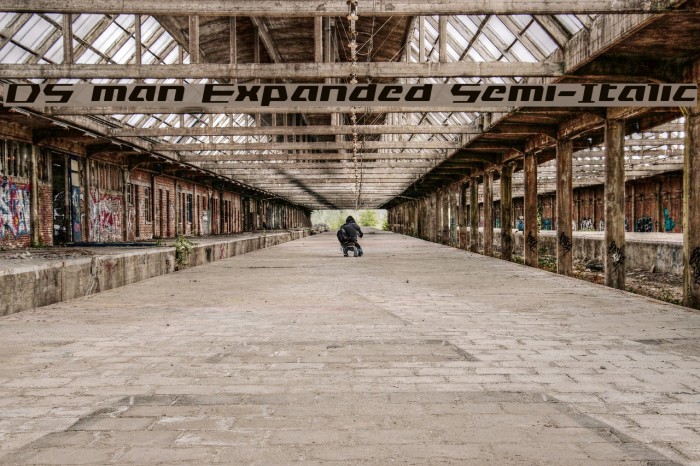 DS man Expanded Semi-Italic Example 2