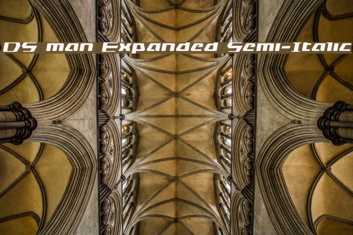 DS man Expanded Semi-Italic Example 3