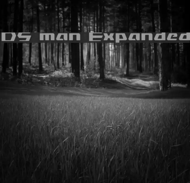 DS man Expanded Font examples