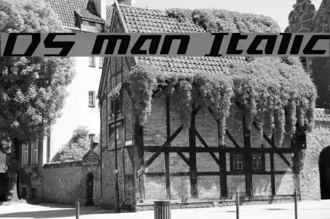 DS man Italic Font examples