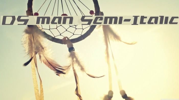 DS man Semi-Italic Example 2