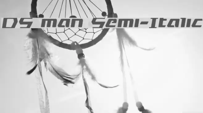 DS man Semi-Italic Font examples