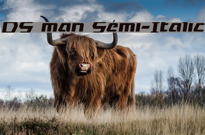 DS man Semi-Italic Example 3
