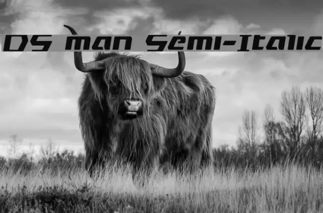 DS man Semi-Italic Font examples