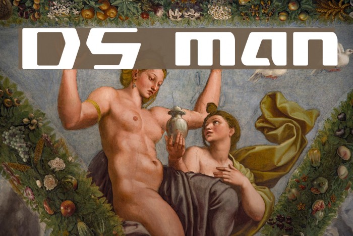 DS man Font examples