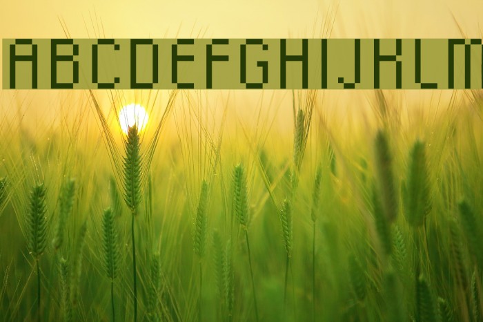 DSC Font examples