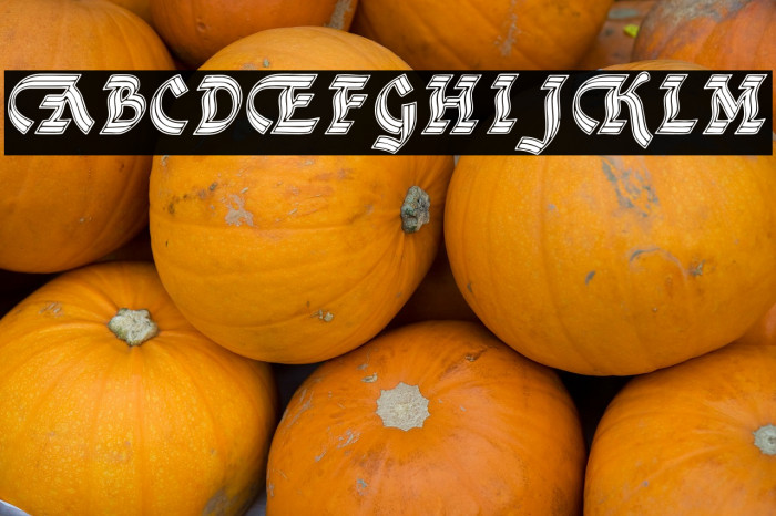 DSCathedralAlt 字体 examples