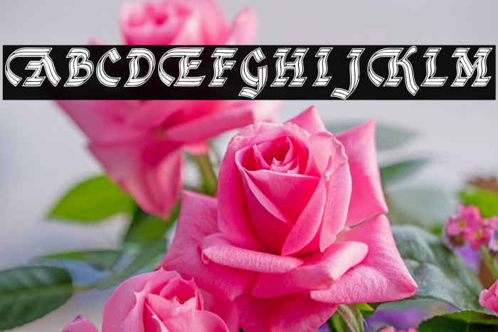 DSCathedralAlt 字体 examples
