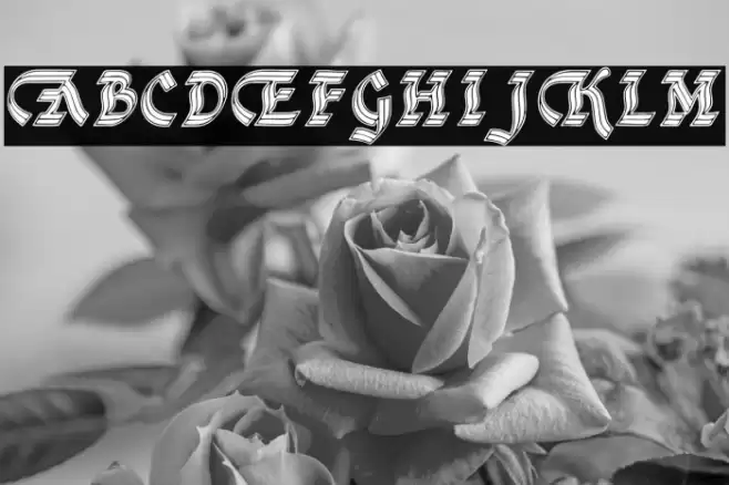 DSCathedralAlt Caratteri examples