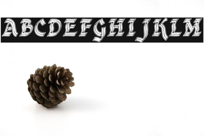 DSCathedral 字体 examples