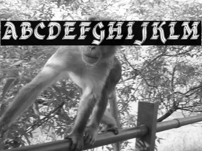 DSCathedral Font examples