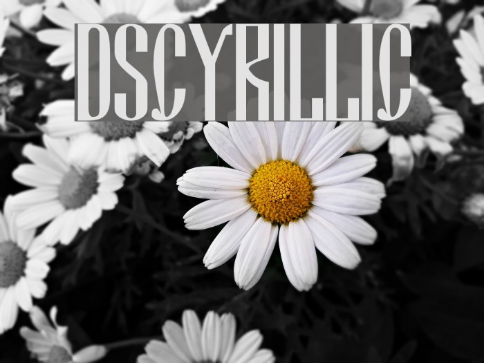 DSCyrillic Font examples