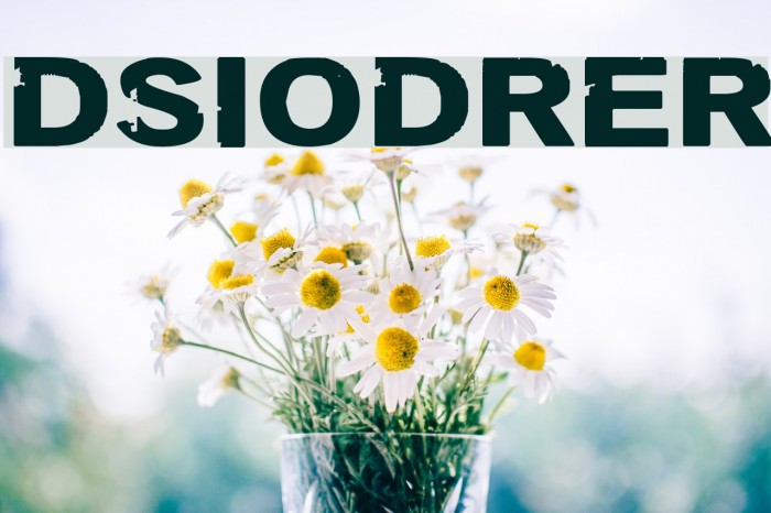 DSIODRER Font examples