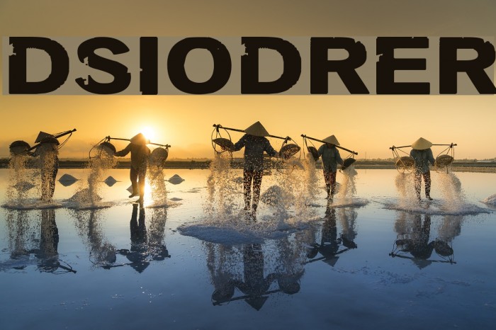 DSIODRER Font examples