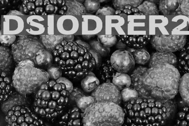 DSIODRER2 Font examples