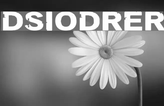 DSIODRER Font examples