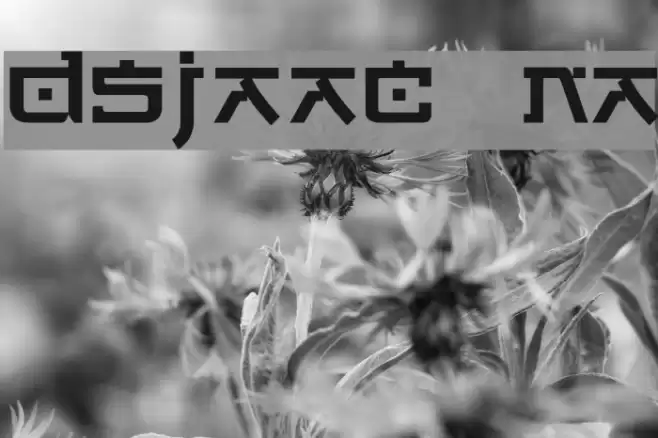 DSJapanCyr  Normal フォント examples