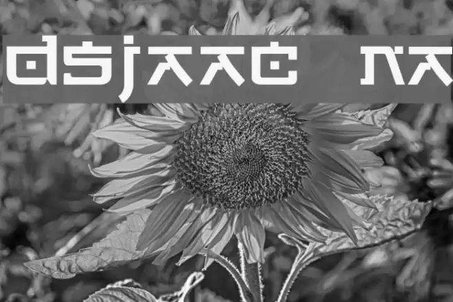 DSJapanCyr  Normal フォント examples