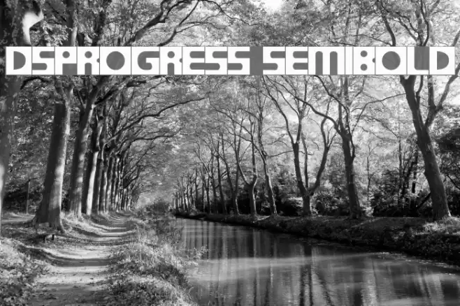 DSProgress SemiBold Шрифта examples