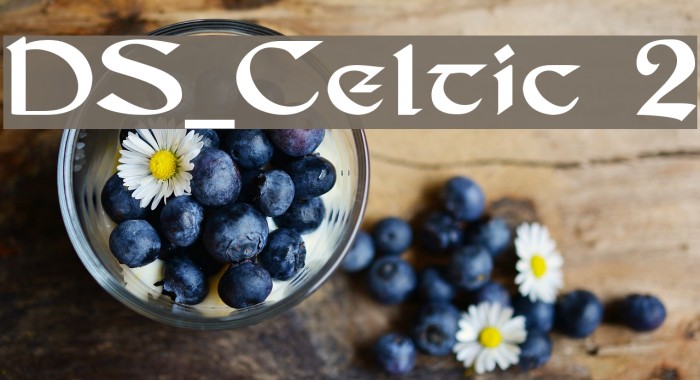 DS_Celtic 2 Example 1
