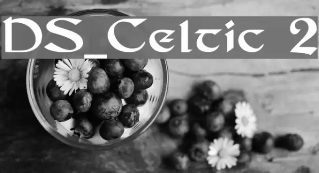 DS_Celtic 2 Font examples