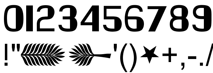 DS_Charity Font OTHER CHARS