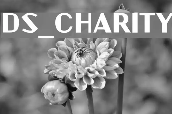 DS_Charity Example 1