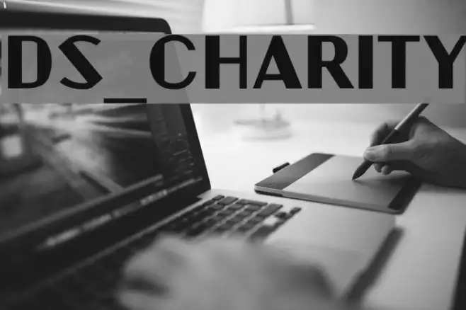 DS_Charity Example 2