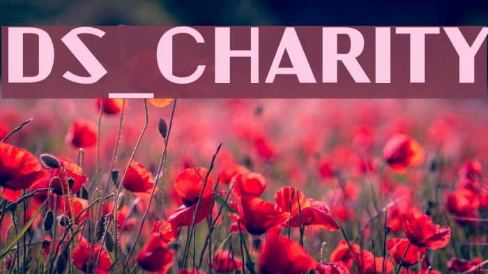 DS_Charity Font examples