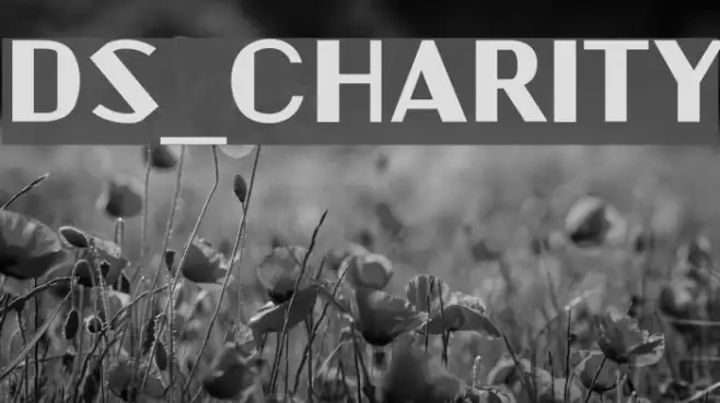 DS_Charity Example 3