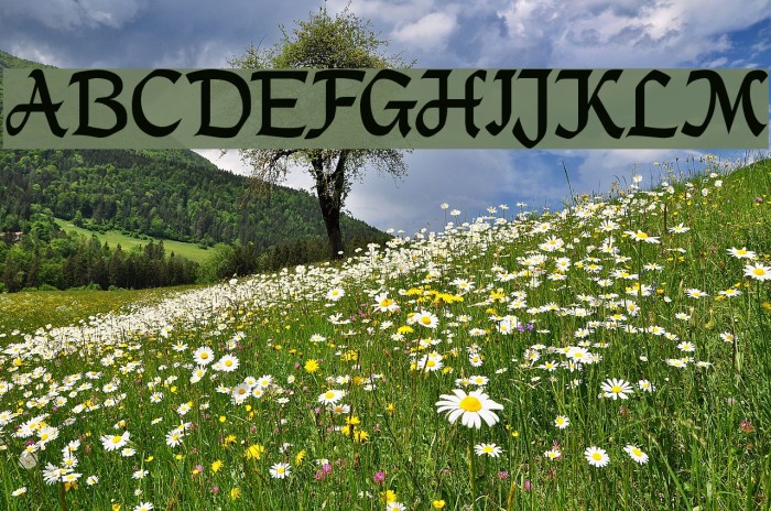DS_Mysticora Font examples