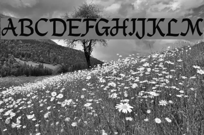 DS_Mysticora Example 2