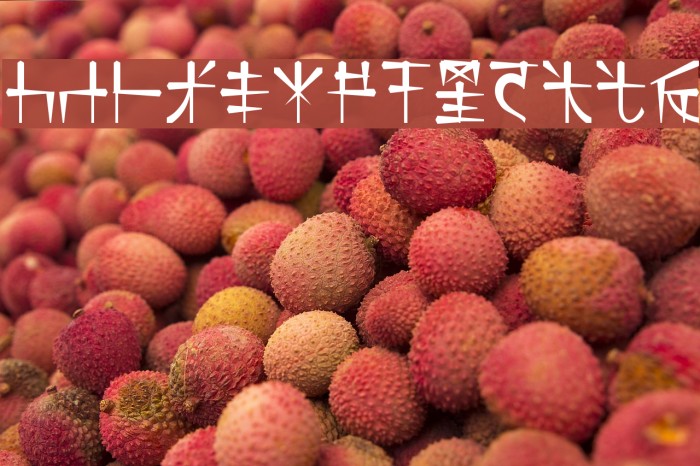 DS_Nasilnese Example 2