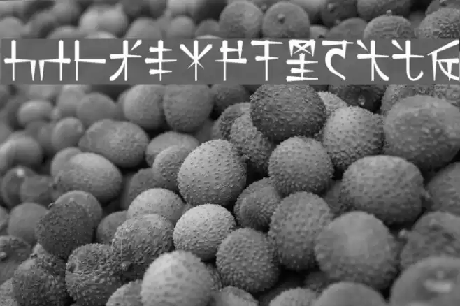 DS_Nasilnese Font examples