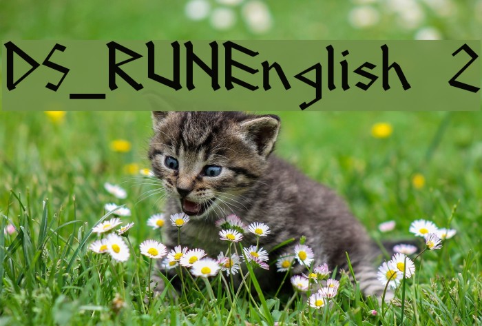 DS_RUNEnglish 2 Font examples