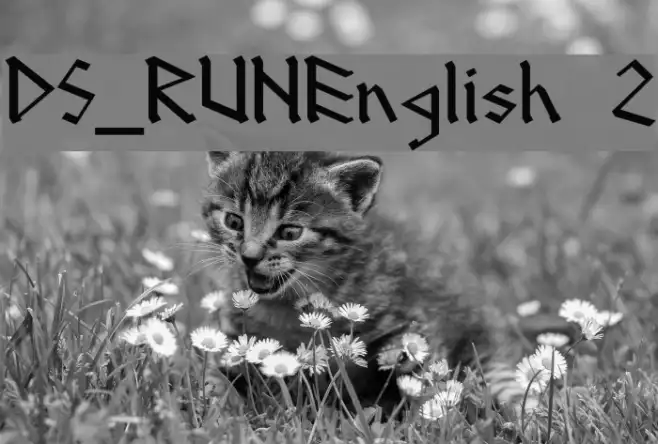 DS_RUNEnglish 2 Example 1