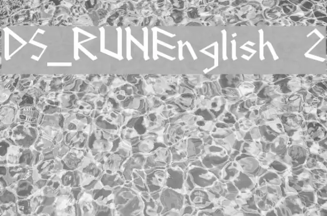 DS_RUNEnglish 2 Example 2