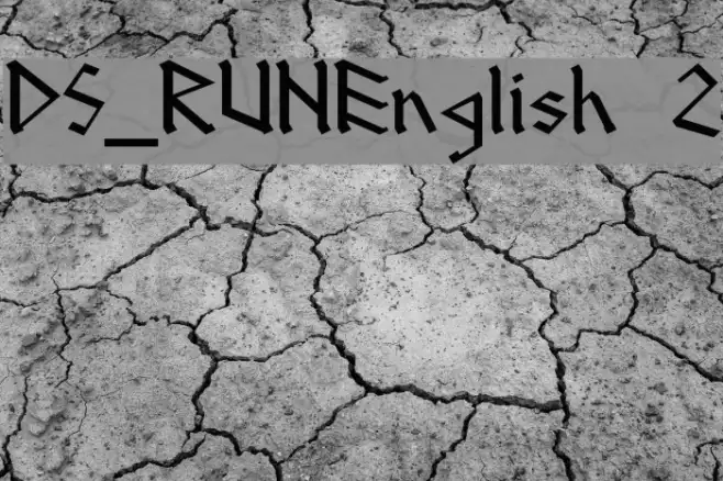 DS_RUNEnglish 2 Example 3