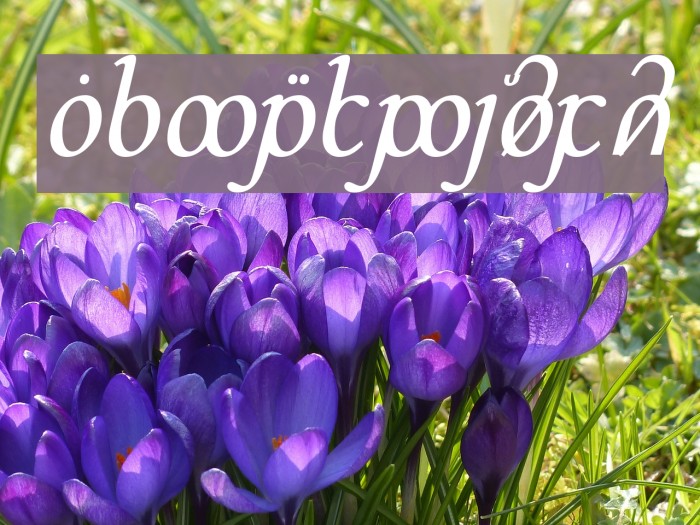 DS_Sinenya Example 3