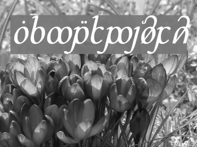 DS_Sinenya Font examples